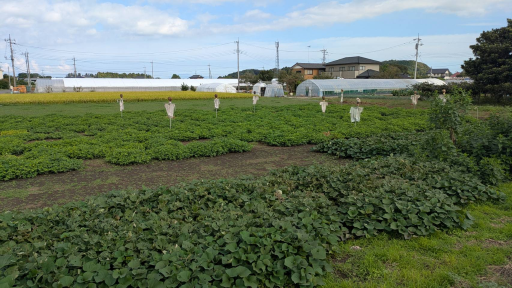 農業ギャラリー画像