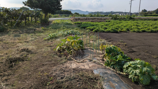 農業ギャラリー画像